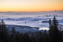 Lions Gate Bridge amidst fog over Vancouver, British Columbia, Canada — Stock Photo