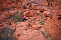 Donna in forma che pratica yoga in viaggio a Red Rocks Canyon, Las Vegas, Nevada, Stati Uniti d'America — Foto stock