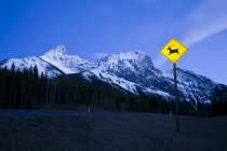 Deer Crossing sign, road and snowcapped rocks, Kananaskis, Alberta — Stock Photo