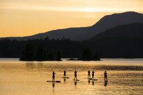 Gruppo stand up paddleboard su Ruby Lake, Sunshine Coast, British Columbia, Canada — Foto stock