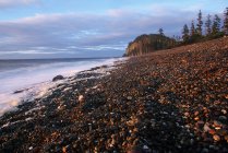 Скелястий берег місті Haida Ґваї з буксирування пагорбі на острові Грем в сутінках, Британська Колумбія, Канада. — стокове фото