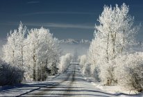 Route de campagne en hiver près de Cochrane, Alberta, Canada — Photo de stock