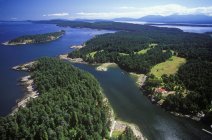 Veduta aerea della foresta dell'isola Gabriola, Columbia Britannica, Canada . — Foto stock