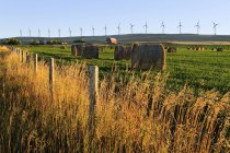 Ballots de foin et ferme avec éoliennes Cowley Ridge en arrière-plan, Cowley, Alberta, Canada — Photo de stock