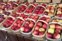 Красные яблоки в корзинах на фермерском рынке . — стоковое фото