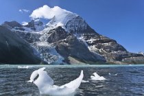 Morceaux de glace provenant du glacier Berg au lac Berg, parc provincial Mount Robson, Colombie-Britannique, Canada — Photo de stock
