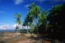 Spiaggia con palme vicino a Drake Bay nel Parco Nazionale del Corcovado, Costa Rica — Foto stock