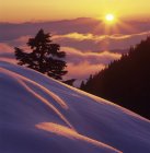 Paisaje del nevado Monte Steele al atardecer, Parque Provincial de Tetraedro, Sunshine Coast, Columbia Británica, Canadá . - foto de stock