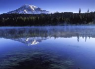 Montanha refletindo na água do Lago Reflexão, Mount Rainier National Park, EUA — Fotografia de Stock