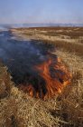 Palouse área wheat field burning in Washington State, Estados Unidos - foto de stock