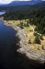 Vue aérienne du rivage de l'île Saturna, Colombie-Britannique, Canada . — Photo de stock