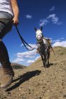 Person leading horse in South Chilcotin Mountains, Gold Bridge, British Columbia, Canada. — Stock Photo