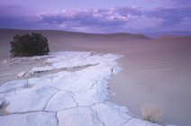 Mesquite Dunes arenito e arbusto ao entardecer, Death Valley, Califórnia, EUA — Fotografia de Stock