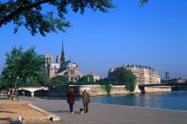 Catedral de Notre Dame ao longo do aterro do rio Sena em Paris, França — Fotografia de Stock
