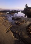 Tramonto sulla spiaggia di Shi Shi con bassa marea nel Parco Nazionale Olimpico, Stato di Washington, Stati Uniti — Foto stock