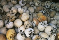 Calaveras humanas como testamento macabra a Pol Pot y Kymer rouge, Siem Reap, Camboya - foto de stock