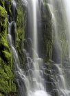 Vista dettagliata dell'acqua che scorre della cascata Proxy Falls in Oregon, USA — Foto stock
