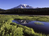 Lago di riflessione con riflesso del Monte Rainier innevato a Washington, USA — Foto stock