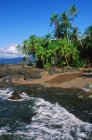 Strand mit Palmen in der Nähe der Erpel-Bucht im Corcovado-Nationalpark, Costa Rica — Stockfoto