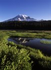 Reflexión de la montaña en el pantano del lago Reflection, Parque Nacional Mount Rainier, EE.UU. - foto de stock
