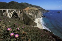 Rocky coastline with sea fig flowers and Bixby Creek Bridge in Big Sur, California, USA. — Stock Photo