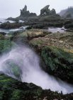 Flutwelle kracht in Gezeitenpool des Shi-Shi-Strandes im olympischen Nationalpark, Washington State, USA — Stockfoto
