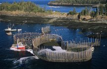 Vista ad alto angolo di pesca wier, Campobello Island, New Brunswick, Canada . — Foto stock