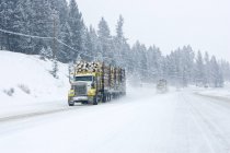 Camiones madereros que conducen en tormenta de invierno en carretera en Columbia Británica, Canadá . - foto de stock