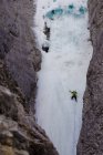 Male ice climber swinging axes into rock face of mountains of Ghost River, Alberta, Canada — Stock Photo