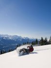 El tallado de motos de nieve se convierte en polvo en las montañas Monashee cerca de Valemount, Thompson Okanagan, Columbia Británica, Canadá - foto de stock