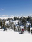 Два снігоходів різьблення треків в горах Monashee поблизу Valemount, Томпсон Оканаган, Британська Колумбія, Канада — стокове фото