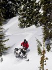 Мужской снегоход спускается по склону, горы Монаши, Валемунт, Томпсон Оканаган, Британская Колумбия, Канада — стоковое фото