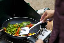 Close-up of person making omelette while camping — Stock Photo