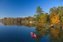 Vista de alto ângulo de canoa homem remando, rio Severn, Muskoka, Ontário — Fotografia de Stock