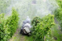 Hochwinkelaufnahme eines unkenntlichen Mannes, der Traktor reitet und Apfelplantage im Seenland besprüht, britisch columbia, Kanada — Stockfoto