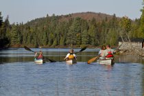 Piragüismo familiar en barcos en Source Lake, Algonquin Park, Ontario, Canadá . - foto de stock