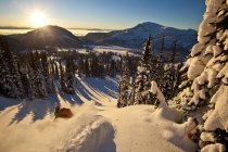 Человек катается на лыжах в задней части страны на горе Сол на закате, Monashee Backcountry, Revelstoke, Канада — стоковое фото