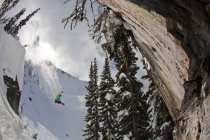 Maschio snowboarder equitazione a scogliera a Revelstoke località di montagna, Canada — Foto stock