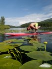 Stand up paddler praticare yoga handstand sul lago Heffley, Thompson Okanagan, British Columbia, Canada — Foto stock