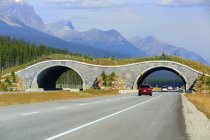 Puente de vida silvestre que cruza la autopista Trans-Canada, Parque Nacional Banff, Alberta, Canadá - foto de stock