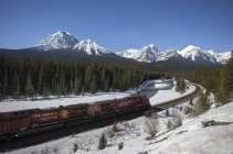 Train de marchandises Canadien Pacifique dans les montagnes Rocheuses canadiennes dans le parc national Banff, Alberta, Canada . — Photo de stock