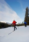 Um grupo de esquiadores de cross country exploram 'Jackman Flats' perto de Valemount, região de Thompson Okanagan, Colúmbia Britânica, Canadá. — Fotografia de Stock