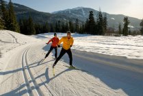 Лыжники на лыжах по замку, Lost Lake Trails, Уистлер, Британская Колумбия, Канада — стоковое фото