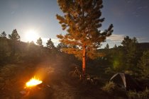 Mountain bike at camping site at Monarch Crest Trail, Salida, Colorado, USA — Stock Photo