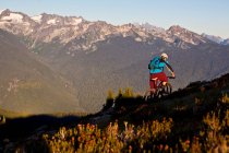 Male mountain biker riding alpine Frisby Ridge trail in Revelstoke, British Columbia, Canada — Stock Photo