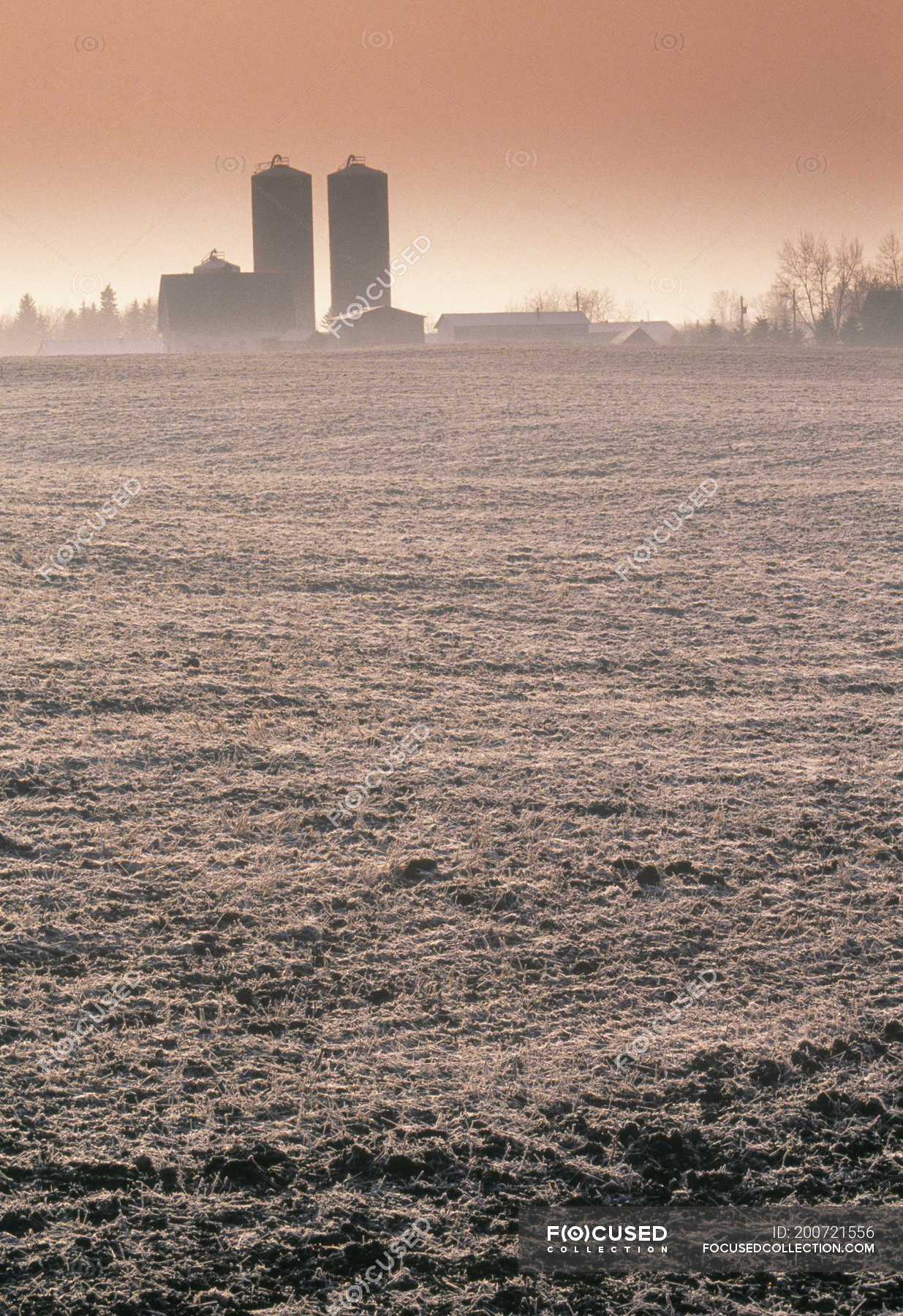 Stubble field and farm silos near Rolly View, Alberta, Canada