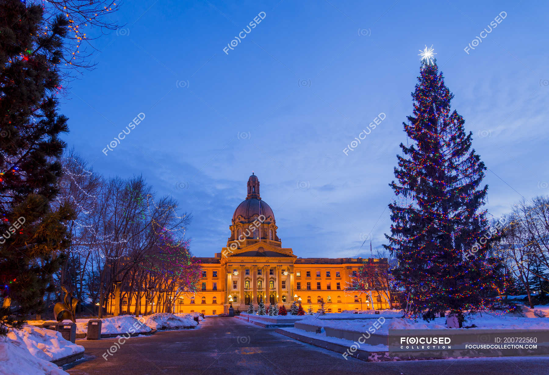 Alberta Legislature building with Christmas tree and lights display ...