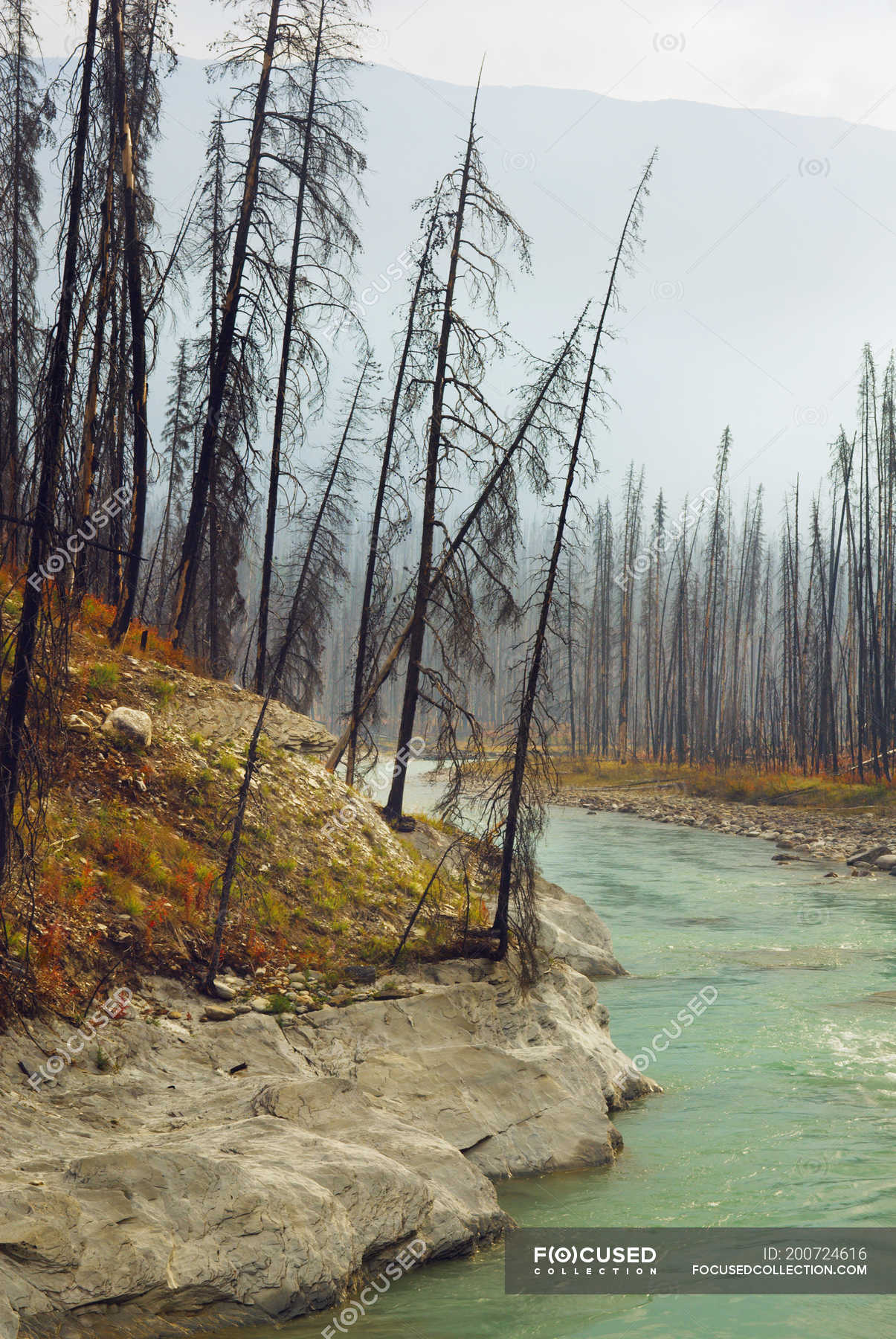 Vermilion River Turbidity - 8q9yl5s