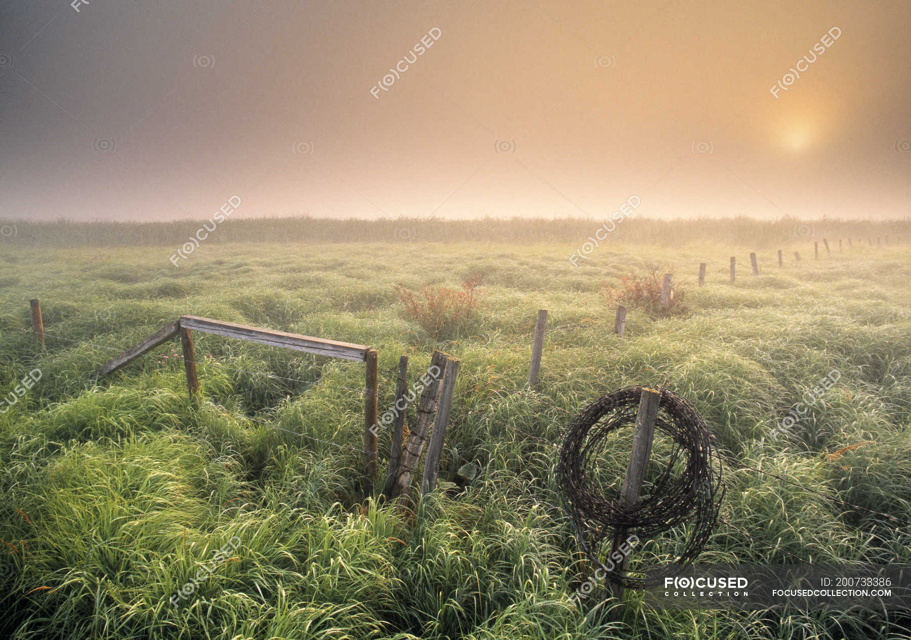Sunrise over rural field near Rolly View, Alberta, Canada. — scenics