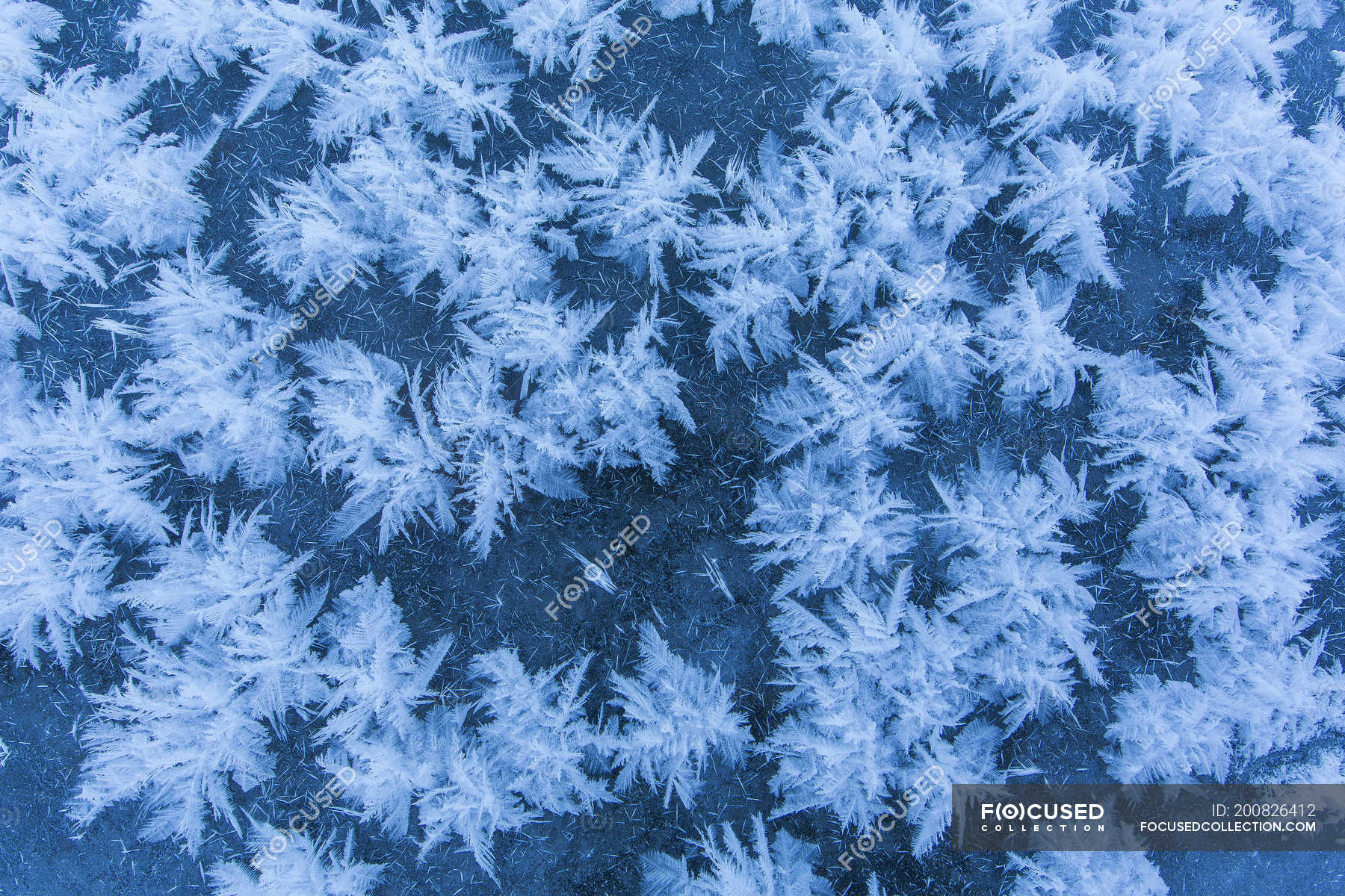 Ice crystals pattern on ice of lake in winter — Full Frame, wintertime